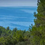 Vara Πούλα