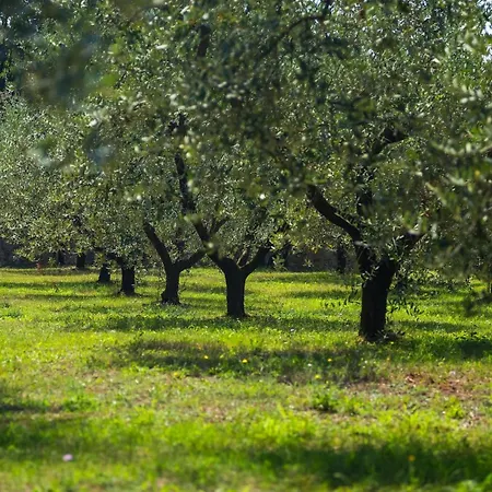 Vara Casa vacanze